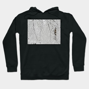 Winter Lace Hoodie